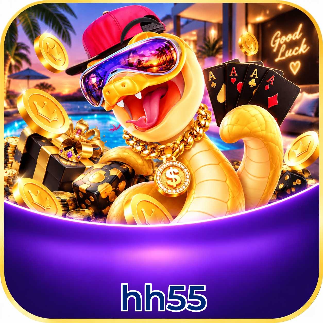 hh55 Performance