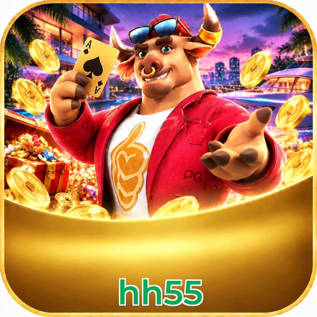 hh55 FAQ
