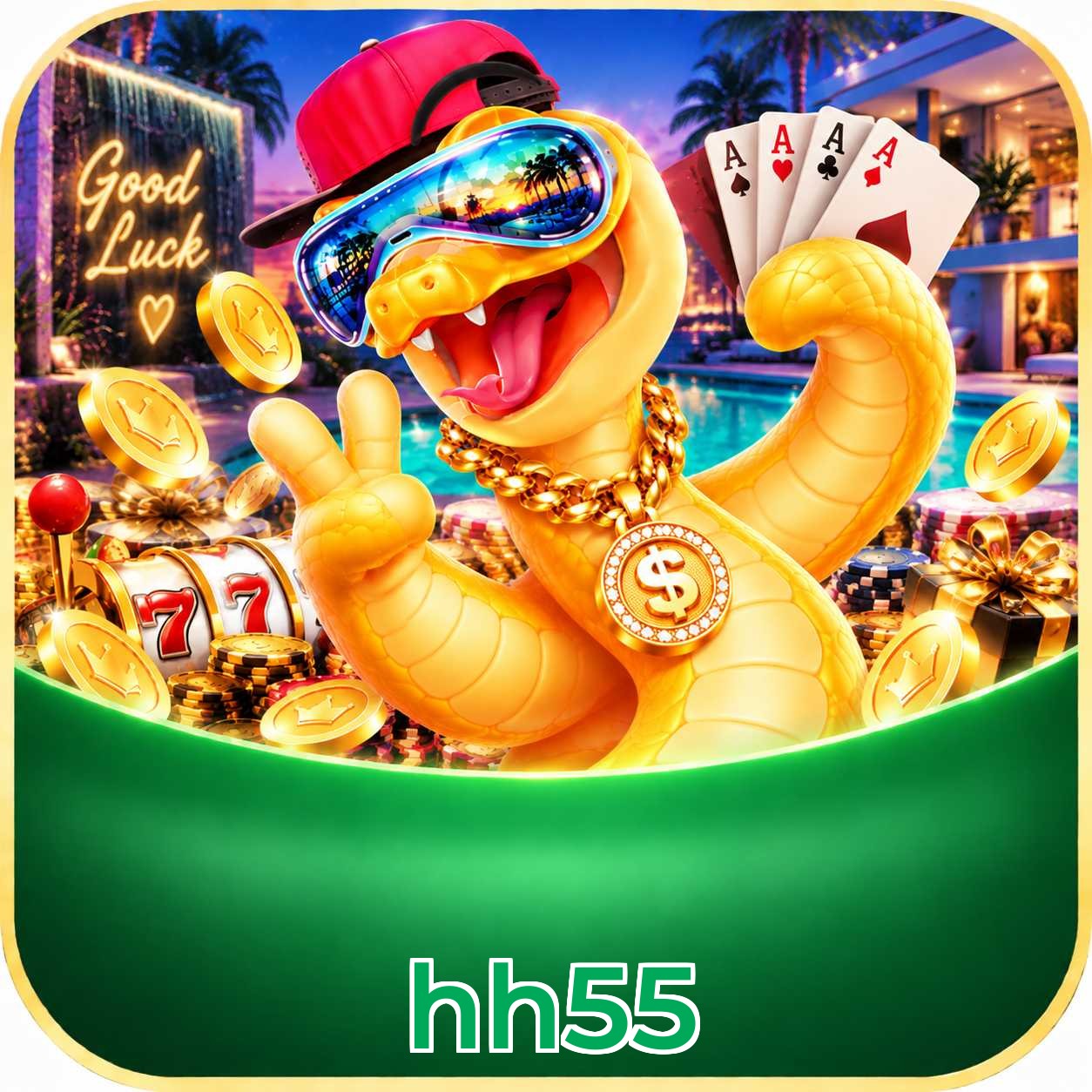 hh55 FAQ
