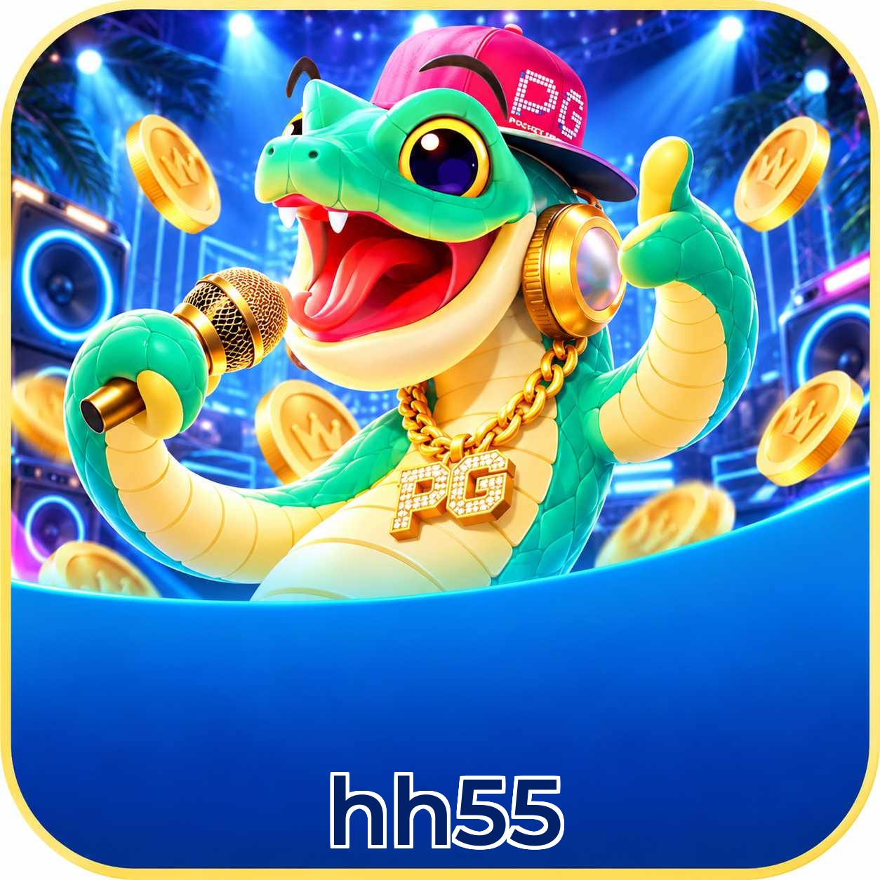 hh55 VIP Program