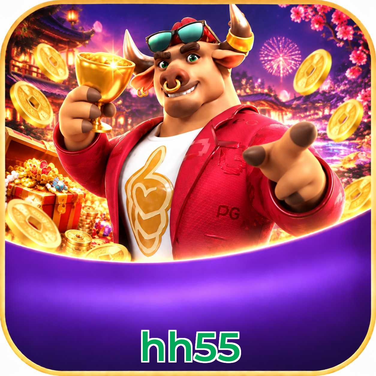hh55 Installation Guide